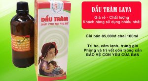 Top 4 địa chỉ bán tinh dầu tràm uy tín và chất lượng nhất tại Quảng Bình