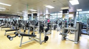 Top 3 Phòng tập gym uy tín và chất lượng nhất ở Thái Bình