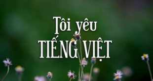 Top 6 Bài văn nghị luận về Giữ gìn sự trong sáng của tiếng Việt hay nhất