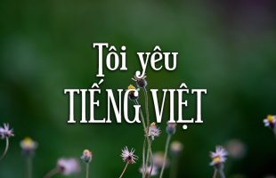 Top 6 Bài văn nghị luận về Giữ gìn sự trong sáng của tiếng Việt hay nhất